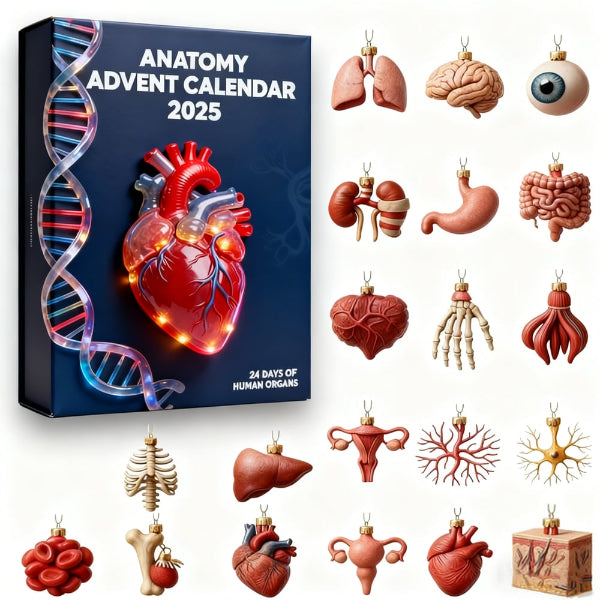 2025 Anatomia Kalendarz Adwentowy