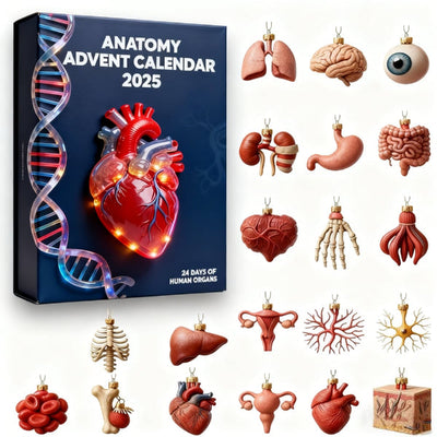 2025 Anatomia Kalendarz Adwentowy