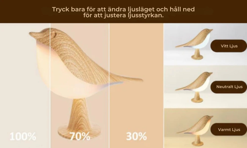 Lampa, Która Wprowadza Naturę, Światło i Spokój do Twojego Domu